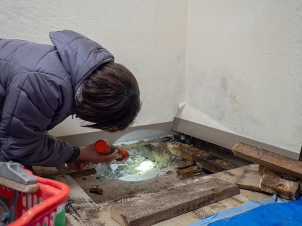 Best Forensic Mold Investigation  in La Nte, MO