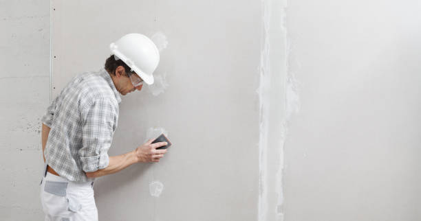 Best Comprehensive Air Testing for Mold Contaminants  in La Nte, MO