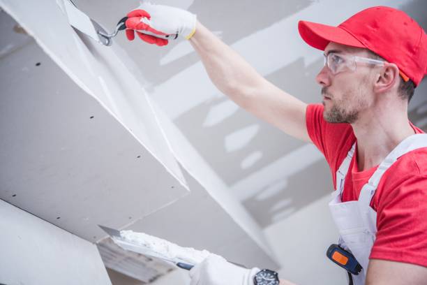 Best Post-Construction Mold Inspection  in La Nte, MO
